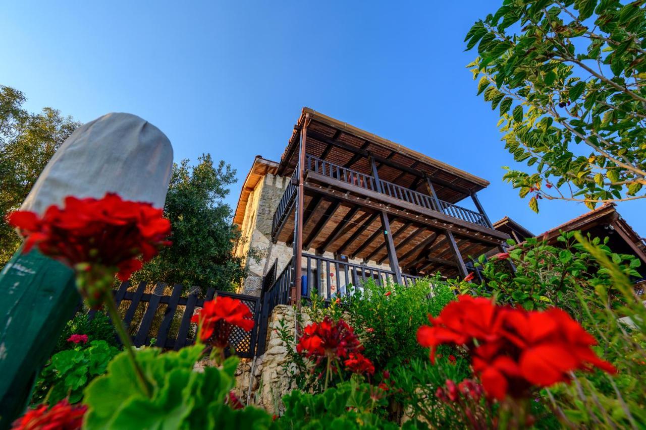 Ankh Pension Калеючагиз Экстерьер фото